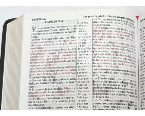 Spanish: Reina-Valera Gomez 2010 Bible