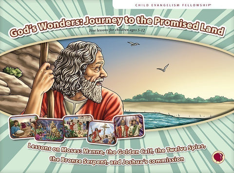 God's Wonders: Journey to the Promised Land (options available)