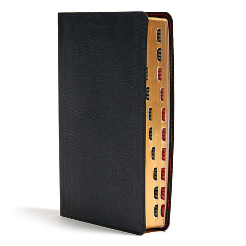 Black Leather Touch - Indexed