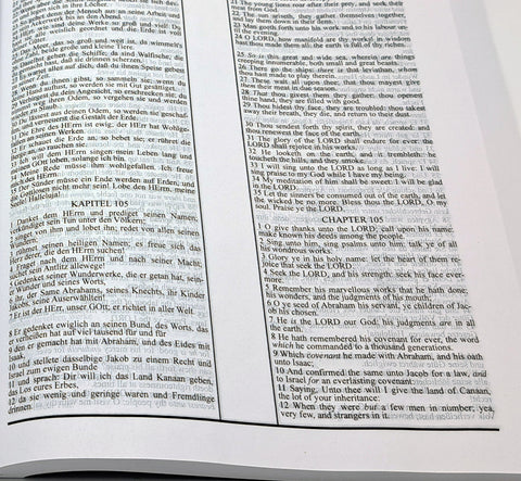 German (1545) - English: Bilingual Bible - Black Lexotone