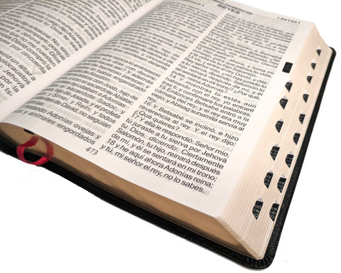 Spanish: Reina-Valera Gomez 2010 Bible - Large Print with Thumb Index