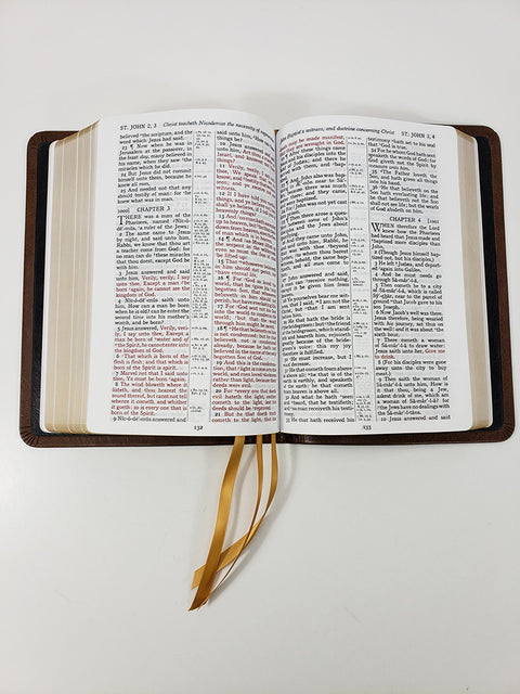 Church Bible Publishers: Midsize Large Print Reader’s Edition – Water Buffalo -Brown