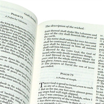 Trinitarian Bible Society: Windsor Text Bible - Blue Flexible Vinyl