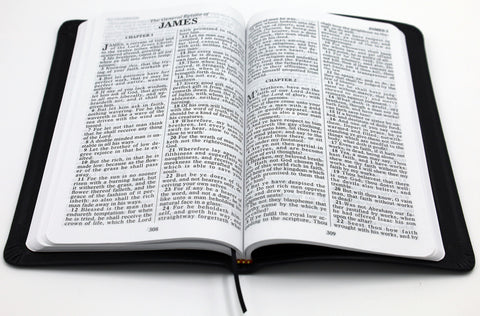 BBB: Soft-Skin Leather Large Print New Testament with Psalms & Proverbs