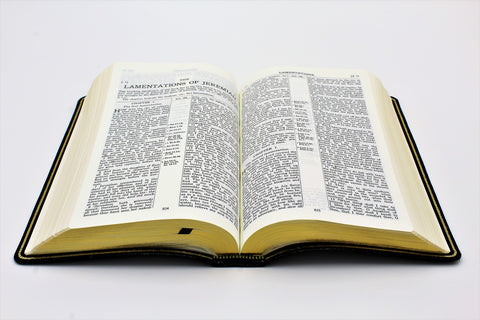 The Old Scofield Study Bible: Classic Edition (1917 Notes) (more options available)