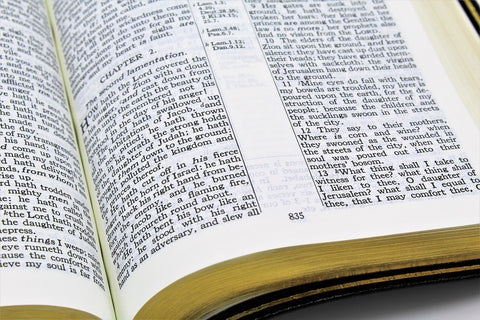 The Old Scofield Study Bible: Classic Edition (1917 Notes) (more options available)