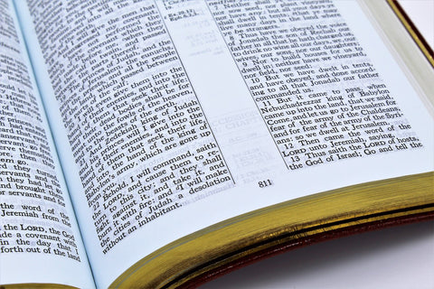 The Old Scofield Study Bible: Classic Edition (1917 Notes) (more options available)