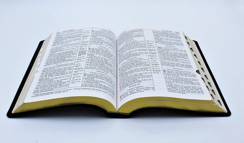 The Old Scofield Study Bible: Standard Edition (1917 Notes) (more options available)