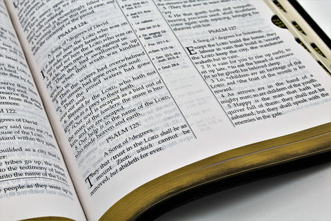 The Old Scofield Study Bible: Standard Edition (1917 Notes) (more options available)