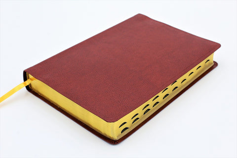 The Old Scofield Study Bible: Standard Edition (1917 Notes) (more options available)