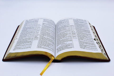 The Old Scofield Study Bible: Standard Edition (1917 Notes) (more options available)