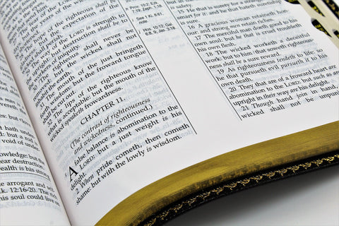 The Old Scofield Study Bible: Standard Edition (1917 Notes) (more options available)
