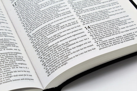 Hendrickson Bible: Gift and Award Bible (more options available)