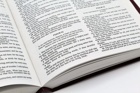 Hendrickson Bible: Gift and Award Bible (more options available)