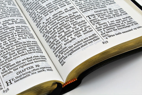 Cambridge Bible: Large Print Text Edition
