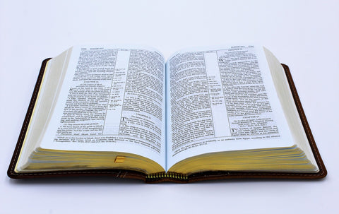 The Old Scofield Study Bible: Pocket Edition (1917 Notes) (more options available)