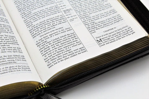 The Old Scofield Study Bible: Pocket Edition (1917 Notes) (more options available)