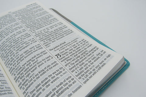 Hendrickson Bible: Personal Size Giant Print Reference Bible (Gray on Turquoise)