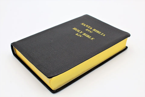 Spanish and English: Reina-Valera Gomez 2010 Bilingual Bible - Black Softcover
