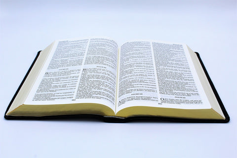 Spanish and English: Reina-Valera Gomez 2010 Bilingual Bible - Black Softcover