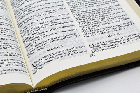 Spanish and English: Reina-Valera Gomez 2010 Bilingual Bible - Black Softcover