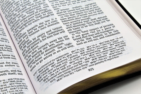 Thomas Nelson Bible: Personal Size Giant Print Reference Bible