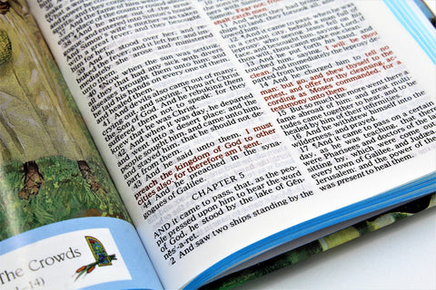 Thomas Nelson Bible: Seaside Bible for Children - Hardcover
