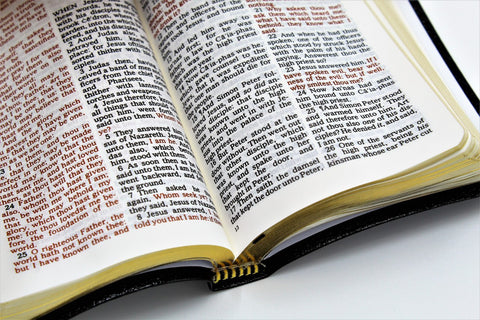 Thomas Nelson Bible: Compact New Testament & Psalms