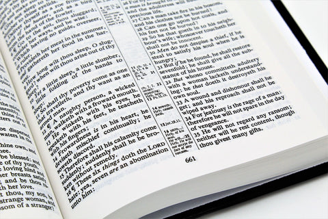 Trinitarian Bible Society: Classic Reference Bible - Hardcover
