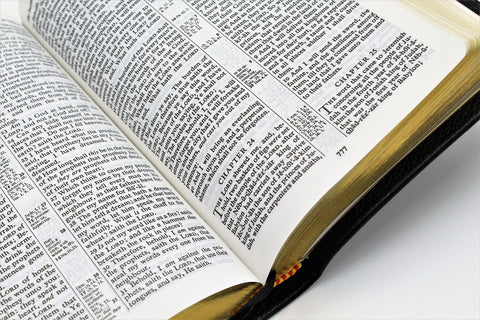 Cambridge Bible: Personal Concord Edition