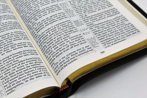 Cambridge Bible: Concord Reference Bible