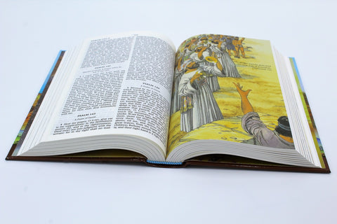 Hendrickson Bible: Kids Bible - Hardcover