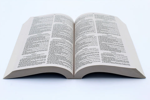 Hendrickson Bible: Outreach Bible