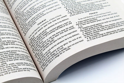 Hendrickson Bible: Outreach Bible
