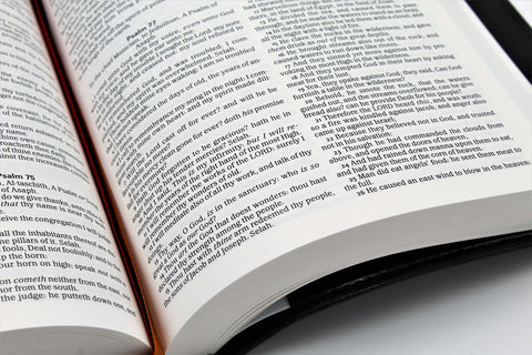 KJV Waterproof Bible