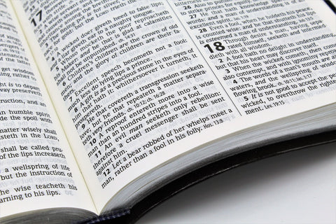 Hendrickson Bible: Large Print Thinline Reference Bible Flexisoft Black