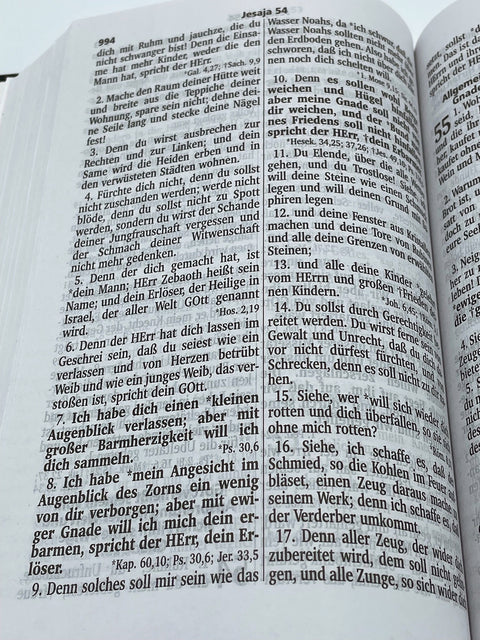 German: Martin Luther 1545 Bible
