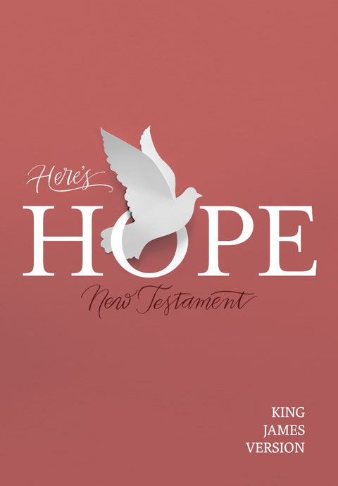 Broadman & Holman Bible: Here's Hope New Testament Bible