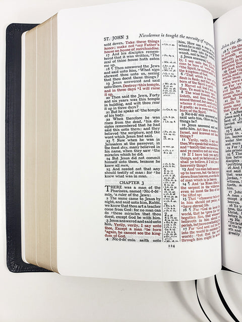 Church Bible Publishers: Midsize Wide Margin Cameo Blue - Corporate Series