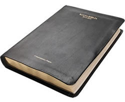 Reina-Valera Gomez 2010 Compact Bible