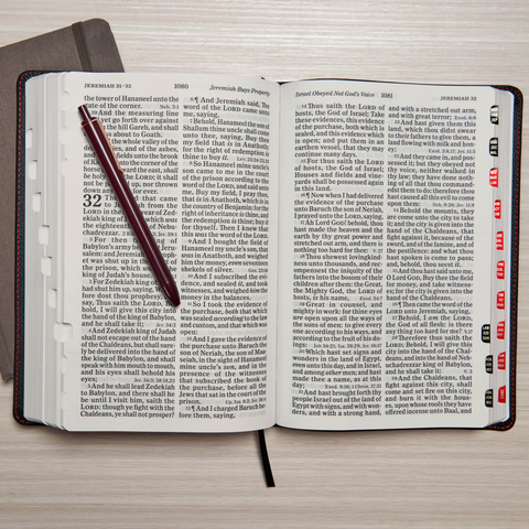 Broadman & Holman Bible: Giant Print Reference Bible LeatherTouch - Indexed