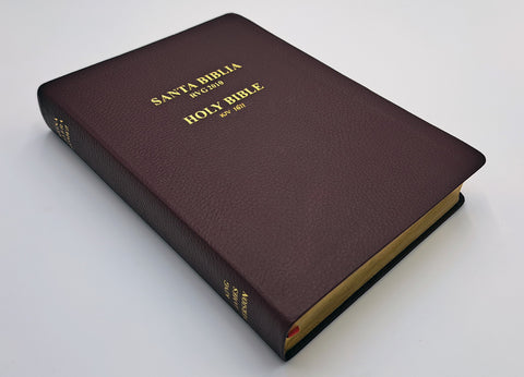 Spanish and English: Reina-Valera Gomez 2010 Bilingual Bible - Burgundy Softcover