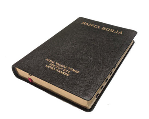 Spanish: Reina-Valera Gomez 2010 Bible -  Large Print with Thumb Index