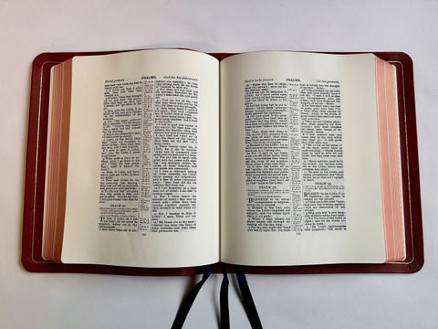 Allan Oxford Bible: Brevier Clarendon Wide Margin Reference Bible Red Goatskin Edition #5WM R