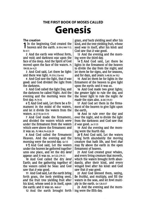 Hendrickson Bible: Large Print Wide Margin Brown Flexisoft