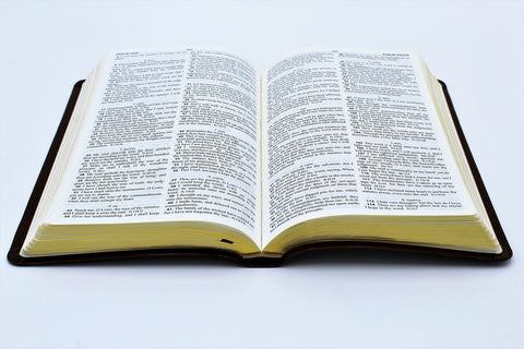 Hendrickson Bible: Thinline Reference Edition Bible Black Bonded Leather
