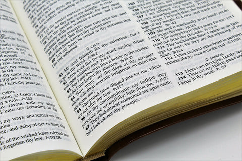 Hendrickson Bible: Thinline Reference Edition Bible Black Bonded Leather