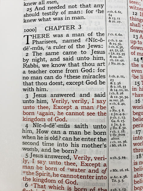 Church Bible Publishers:  Midsize Large Print Reader’s Edition – Water Buffalo -Brown