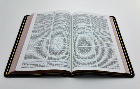 Thomas Nelson Bible: Large Print Thinline Goatskin Premier Collection