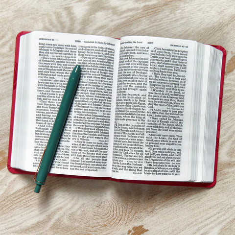 Holman Bible: Compact Pink LeatherTouch
